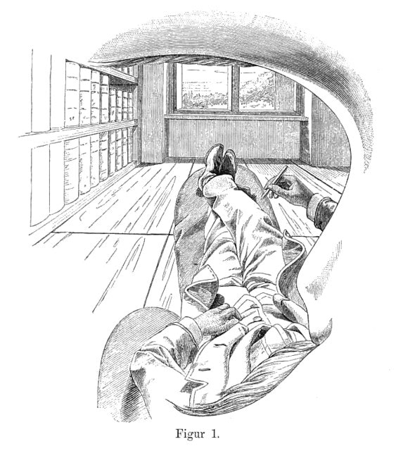 Self Portrait of Ernst Mach, first figure in his book Beiträge zur Analyse der Empfindungen